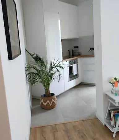 Place Catalogne Apartment Perpignan